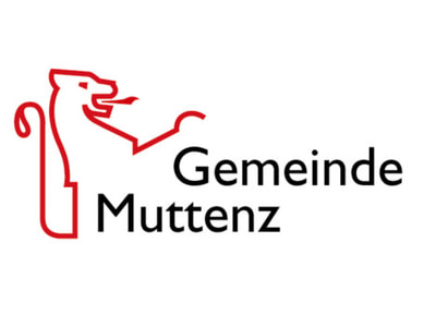 Strombeschaffung für die Gemeinde Muttenz